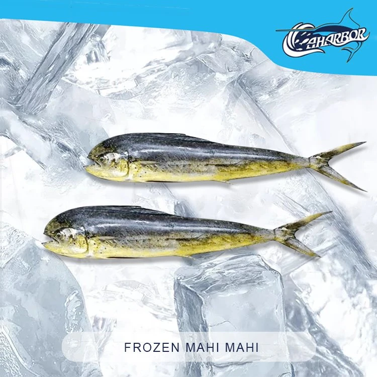 Gefrorenes Mahi Mahi