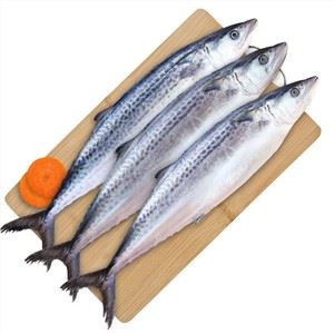 Spanisches Makrelenfilet