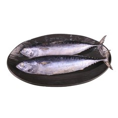 Gefrorene Auxis Rochei