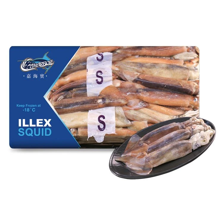 Gefrorener Illx -Tintenfisch WR