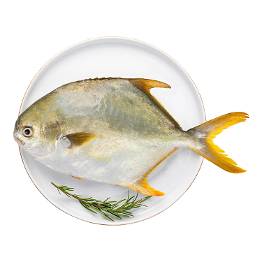 Worauf sollten Sie beim Essen goldener Pomfret achten?