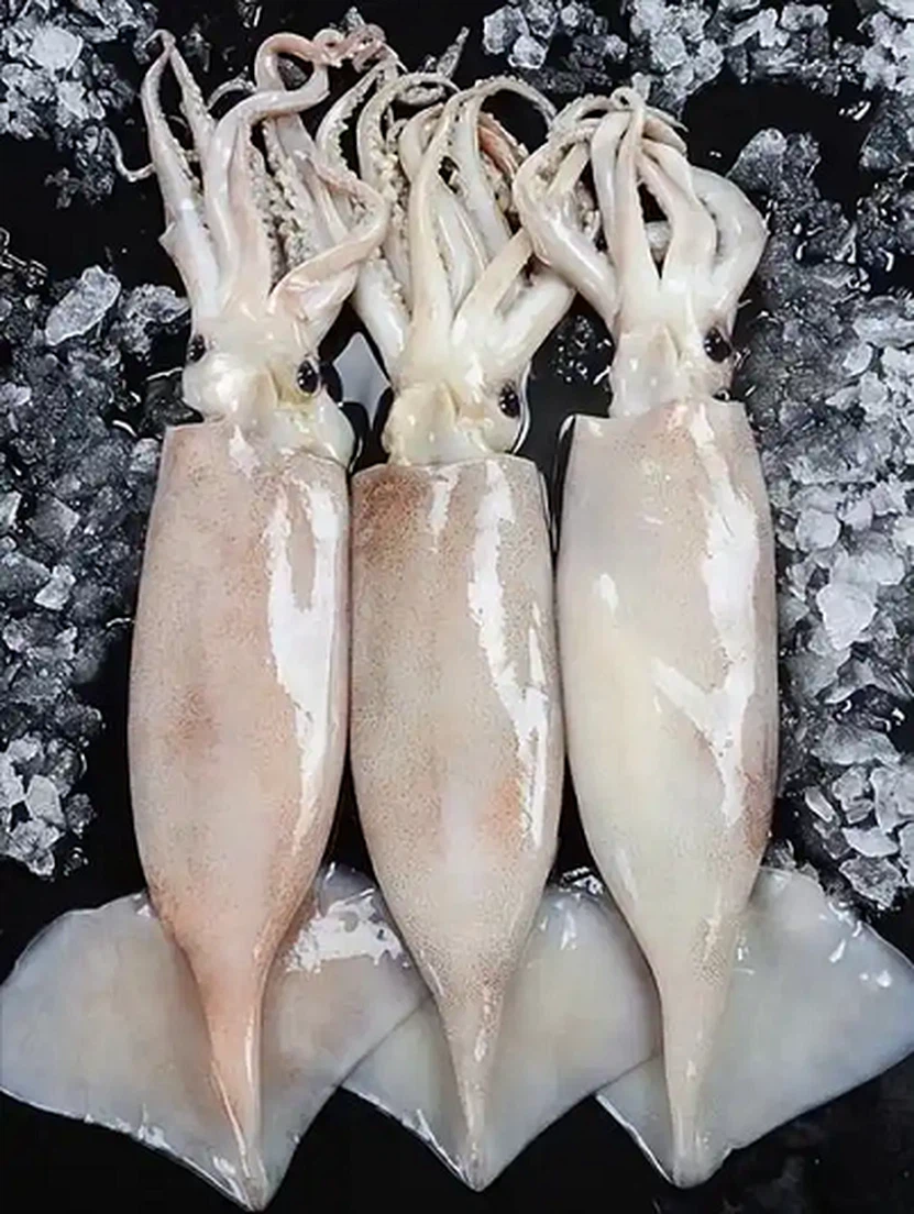 u13013567933946040820fm253fmtautoapp120fJPEGwebp u13013567933946040820fm253fmtautoapp120fJPEGwebp