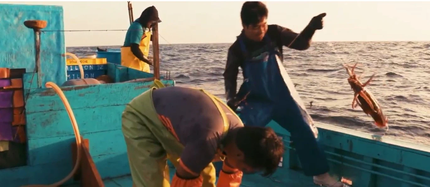 0e2d3ef41fb7b7de70f662fd934c484 0e2d3ef41fb7b7de70f662fd934c484