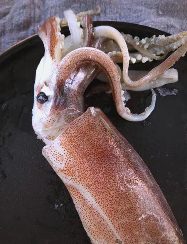 u10038612094026945857fm253fmtautoapp138fJPEG u10038612094026945857fm253fmtautoapp138fJPEG