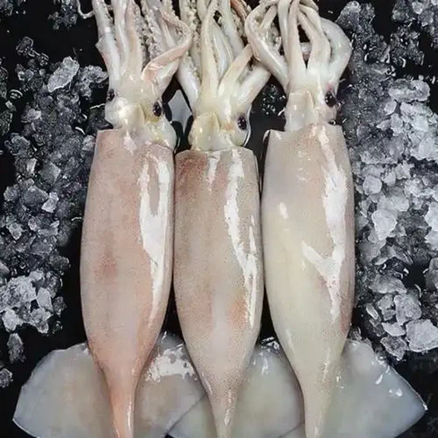 u36120084443264557182fm253fmtautoapp138fJPEGwebp u36120084443264557182fm253fmtautoapp138fJPEGwebp