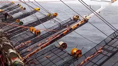 Am Osterfeiertag betroffen, verzeichneten riesige Tintenfisch -Rohstoffpreise...