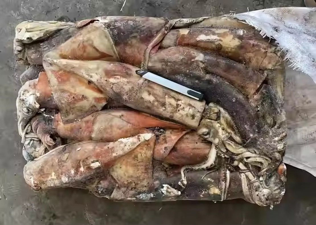 Hbf92151ce75b4dd6845c0eb72a90fee8Yjpg720x720q50 Hbf92151ce75b4dd6845c0eb72a90fee8Yjpg720x720q50